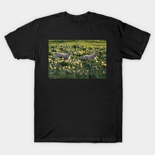 Spring Lambs #2 T-Shirt